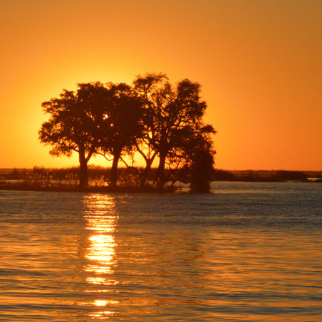 Infinite Horizons Safaris